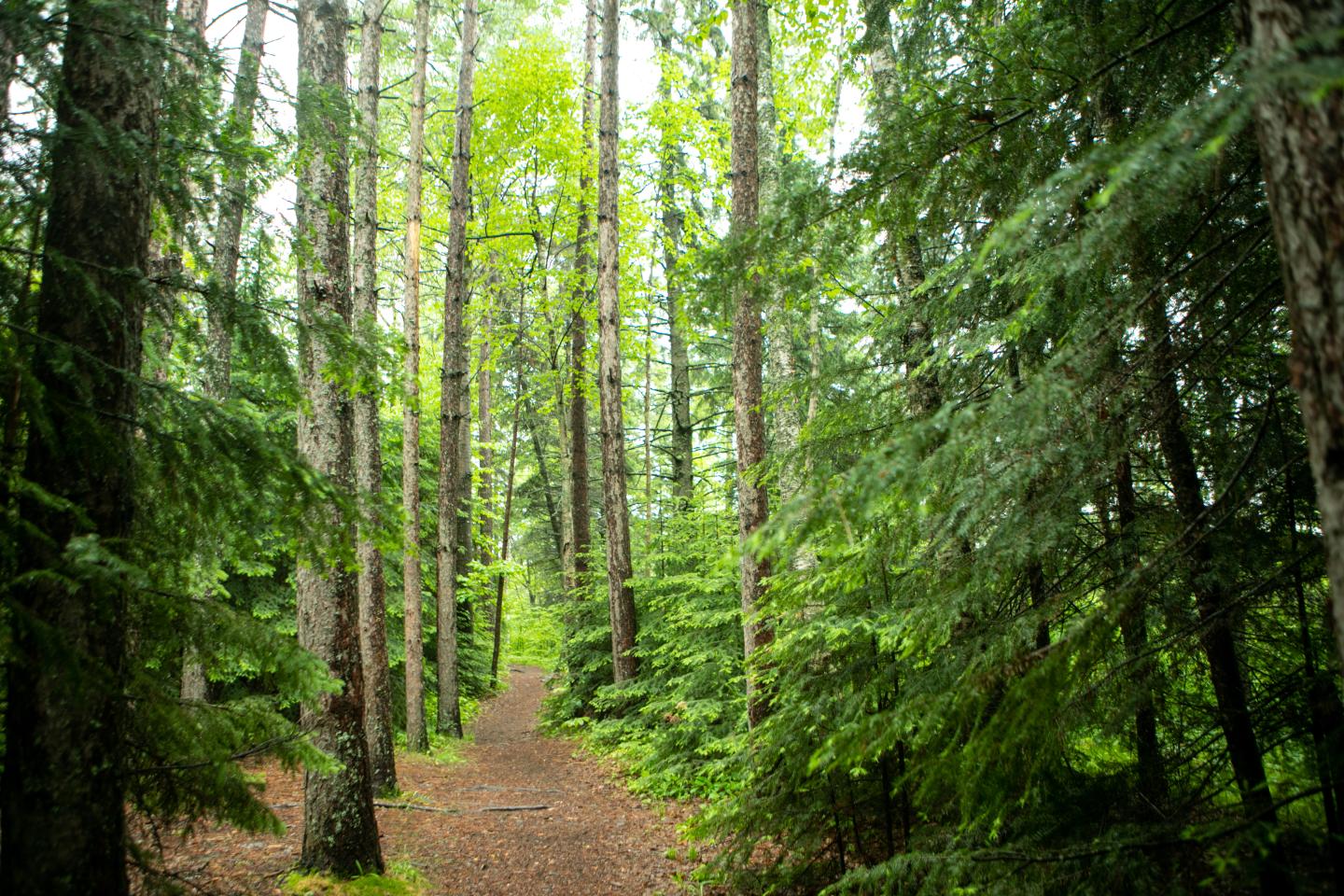 Tofte Trails - Book Your Stay