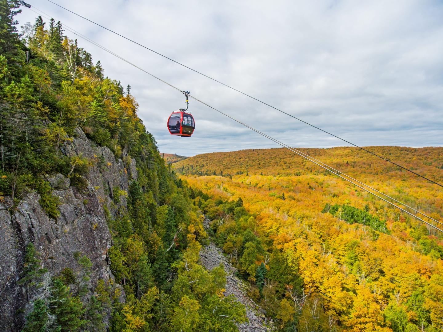 Fall Gondola