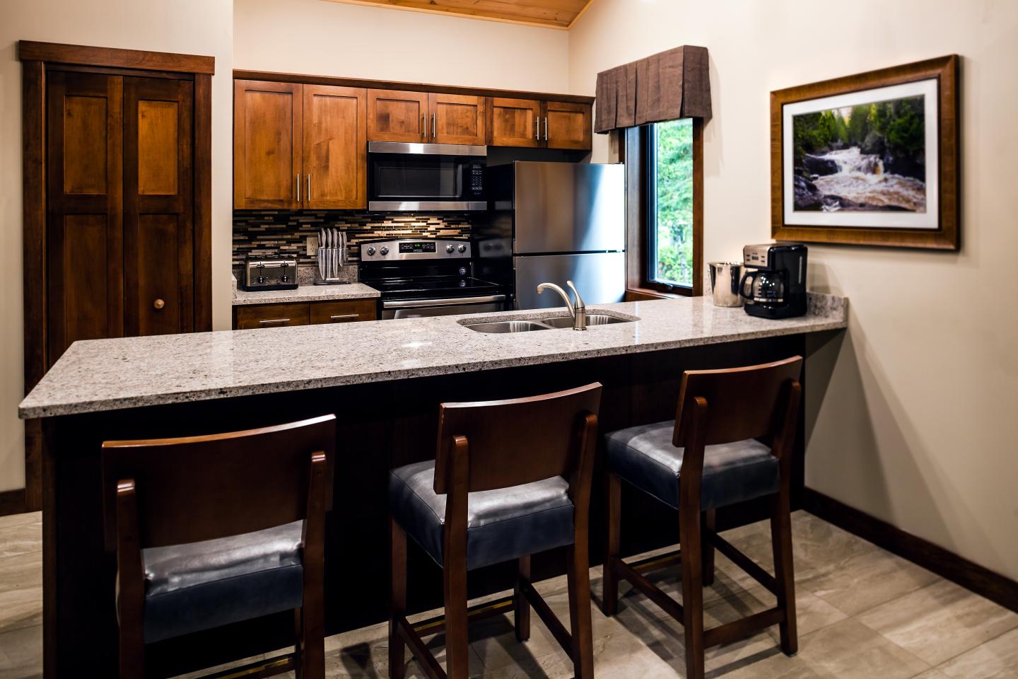 Elite Condo Kitchen